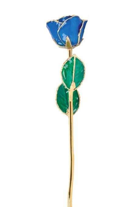 September Blue Sapphire Rose with 24K Gold