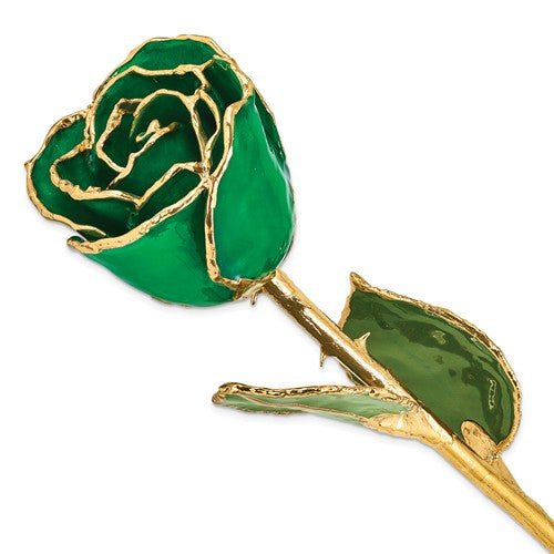 24K Gold Trimmed & Lacquered May (Dark Green) Rose