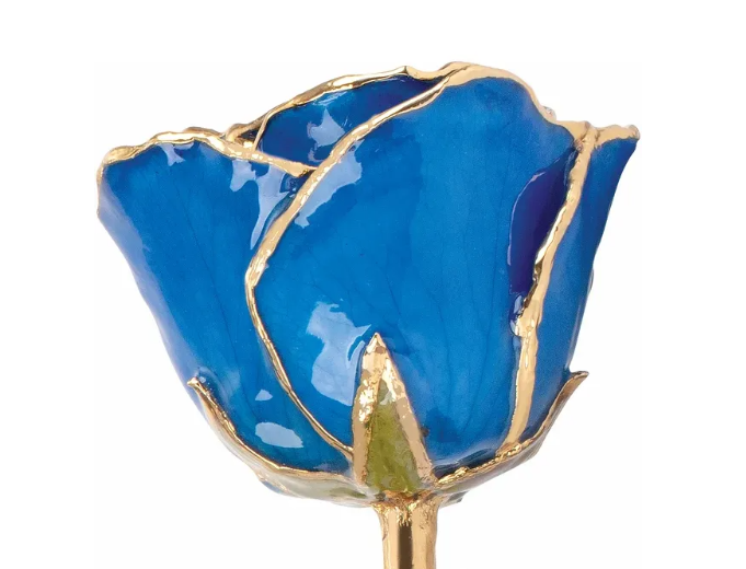 September Blue Sapphire Rose with 24K Gold