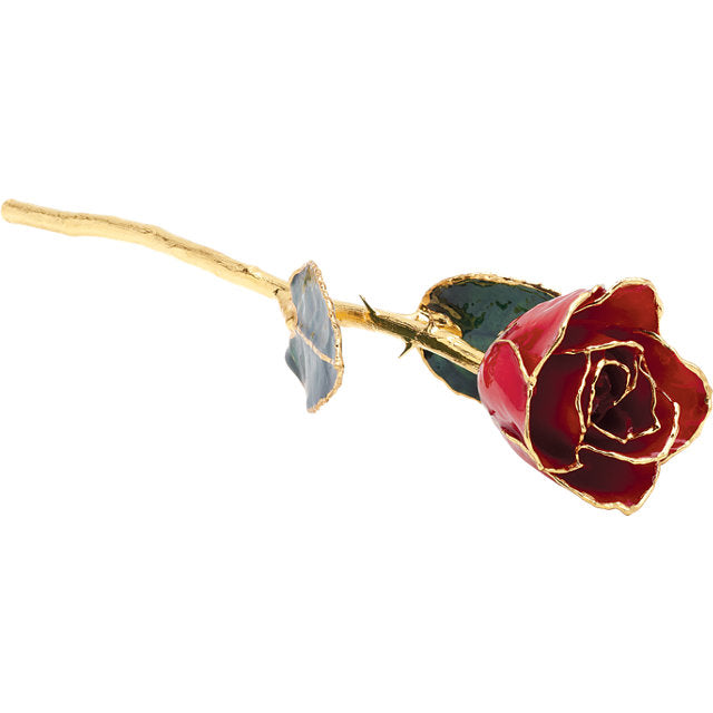 24K Gold Trimmed & Lacquered Red Rose