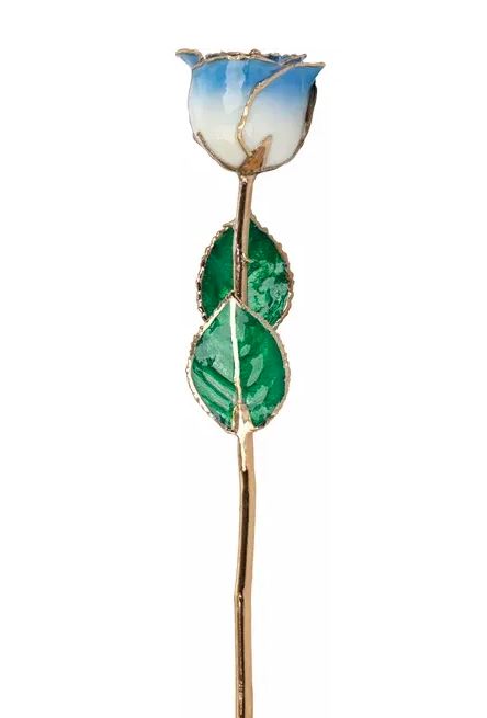 Lacquered Cream & Blue Rose with 24K Gold Trim