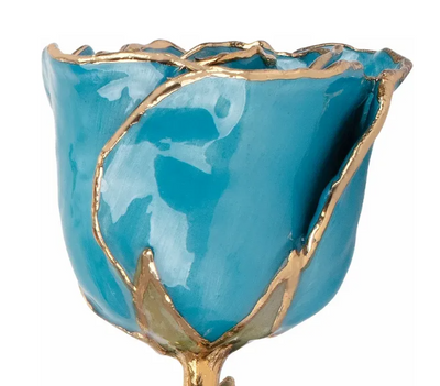 March Aquamarine Rose with 24K Gold Trim