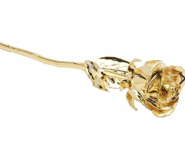 24K Gold-Plated Rose