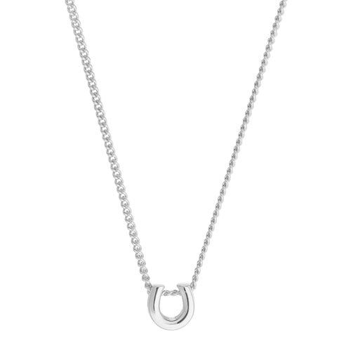 Platinum Finish SS Horseshoe Pendant on 18" Chain