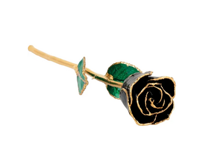 Lacquered Black Rose with 24K Gold Trim