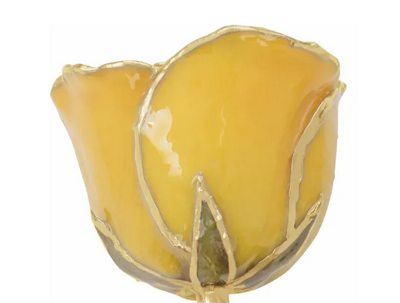 Lacquered Yellow Rose with 24K Gold Trim