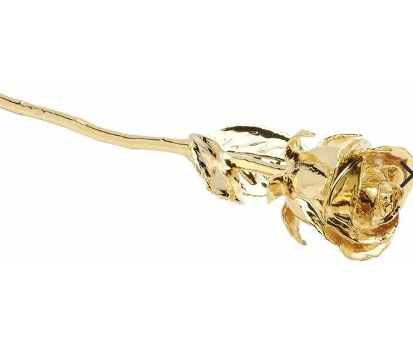 24K Rose