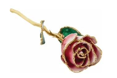 Lacquered Frozen White & Red Rose with 24K Gold Trim