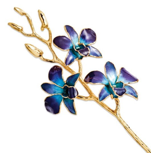 Lacquer Dipped 24K Gold Trimmed Purple and Blue Real Orchid Stem