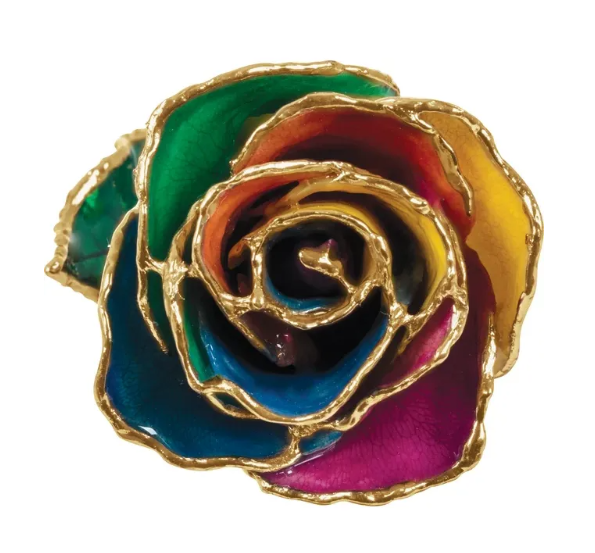 Rainbow Colored Rose with 24K Gold Trim
