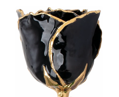 Lacquered Black Rose with 24K Gold Trim