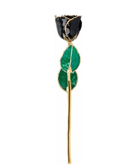 Lacquered Black Rose with 24K Gold Trim