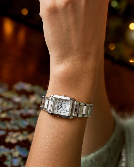 Lady's Silver Tone Citizen Eco-Drive 