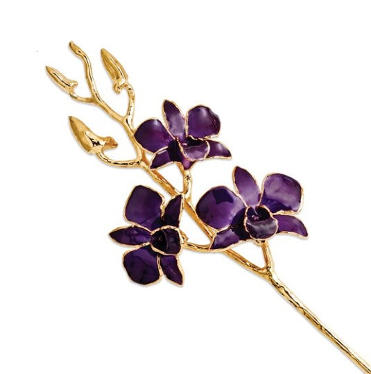 Lacquer Dipped Gold Trimmed Purple Real Dendrobium Orchid Stem