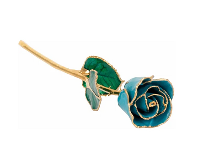 March Aquamarine Rose with 24K Gold Trim