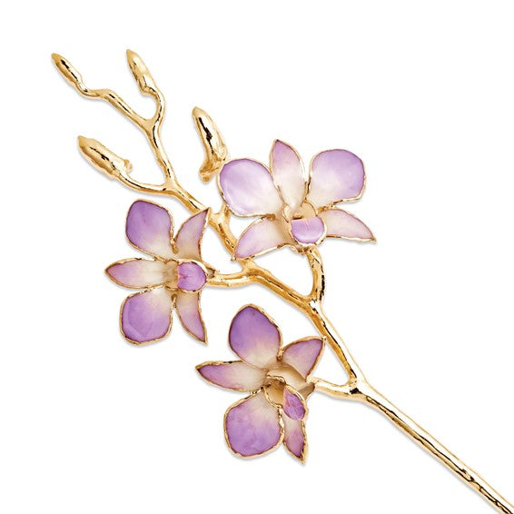 Lacquer Dipped 24K Gold Trimmed Lilac and White Real Orchid Stem