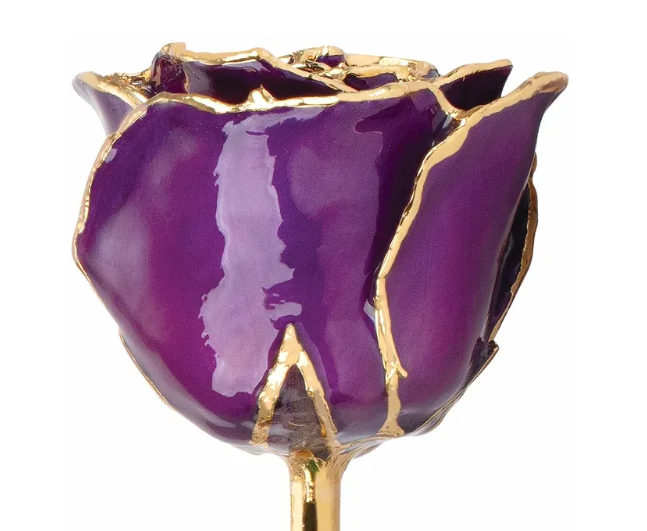 24K Lacquered Purple Rose with Gold Trim